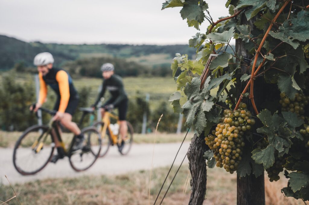 Gravelbiken im Weinviertel